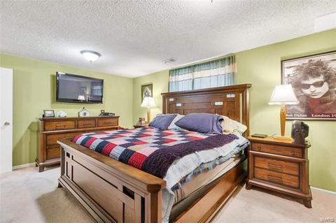 411 Fire Tree Ln, O'fallon, MO 63368 photo 16