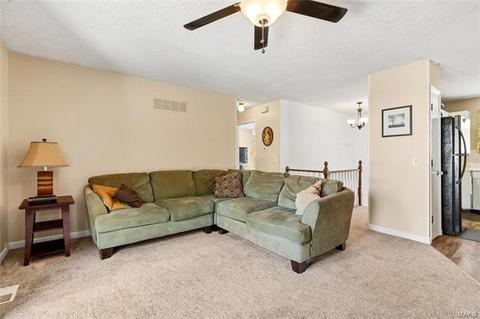 411 Fire Tree Ln, O'fallon, MO 63368 photo 4