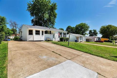 411 Fire Tree Ln, O'fallon, MO 63368 photo 22