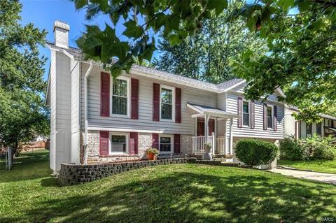 335 Bellezza Dr, Ballwin, MO 63021 photo 25