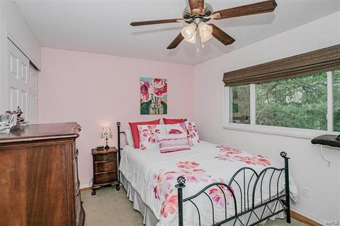 905 Brookvale, Manchester, MO 63021 photo 17