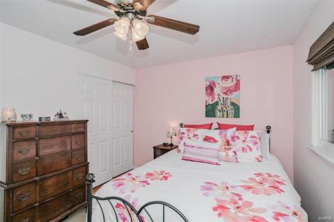 905 Brookvale, Manchester, MO 63021 photo 16