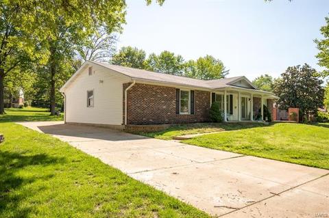 913 Dutch Mill Dr, Ballwin, MO 63011 photo 36