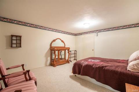 913 Dutch Mill Dr, Ballwin, MO 63011 photo 28