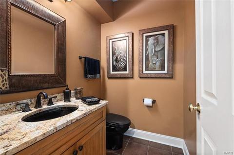 1253 Arbor Bluff Cir, Ballwin, MO 63021 photo 33