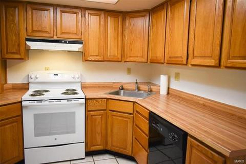 2373 Hiddengarden Ct, Ballwin, MO 63021 photo 7