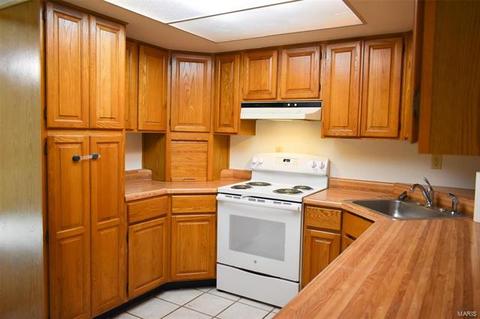2373 Hiddengarden Ct, Ballwin, MO 63021 photo 6