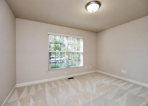 47 Mint Ct, O'fallon, MO 63366 photo 20