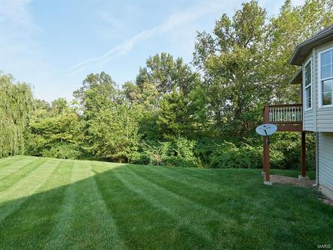 47 Mint Ct, O'fallon, MO 63366 photo 34
