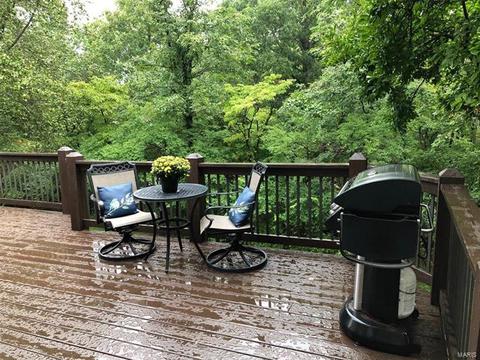 514 Autumn Oaks Dr, Ellisville, MO 63021 photo 59