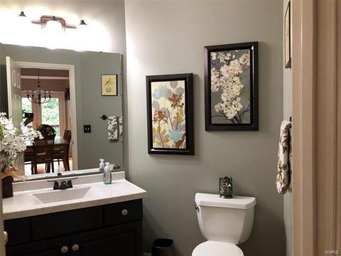 514 Autumn Oaks Dr, Ellisville, MO 63021 photo 20