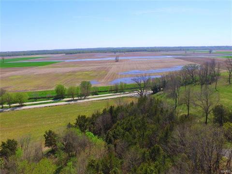 498 Schell Rd, Augusta, MO 63332 photo 3