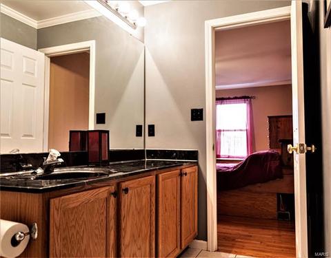 8 Alviston Ct, O'fallon, MO 63366 photo 20
