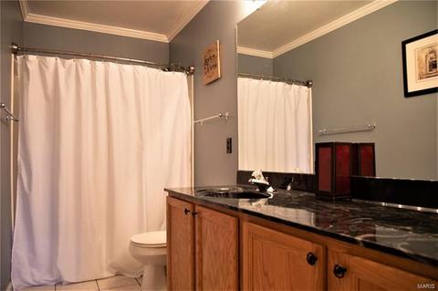 8 Alviston Ct, O'fallon, MO 63366 photo 21