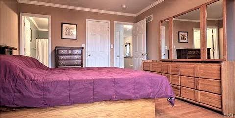 8 Alviston Ct, O'fallon, MO 63366 photo 17
