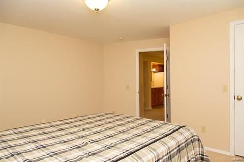 823 Wheelwright, Manchester, MO 63021 photo 43