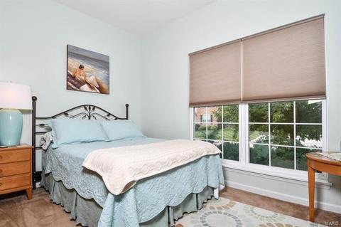 6572 Devonhurst Dr, Saint Louis, MO 63129 photo 39
