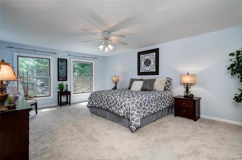 1319 Timber Terra Rd, Wildwood, MO 63021 photo 19
