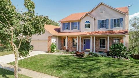 848 Heron Woods Dr, Ballwin, MO 63021 photo 1
