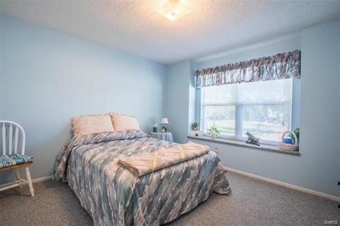 6 Cornwallis Ct, O'fallon, MO 63368 photo 17