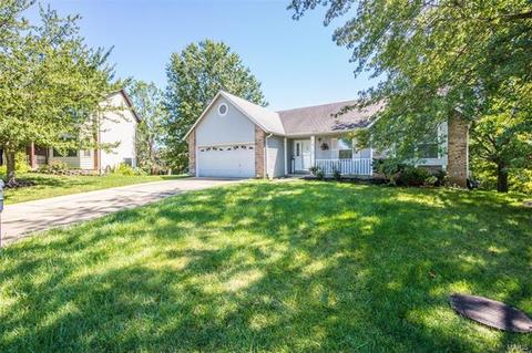 6 Cornwallis Ct, O'fallon, MO 63368 photo 37