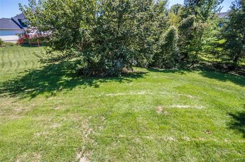 6 Cornwallis Ct, O'fallon, MO 63368 photo 46