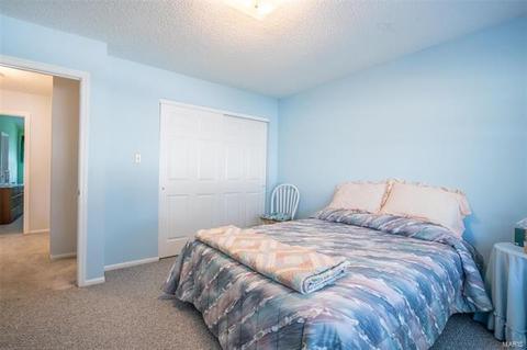 6 Cornwallis Ct, O'fallon, MO 63368 photo 18