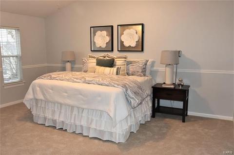 223 Chestnut Hill Dr, O'fallon, MO 63368 photo 26