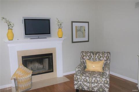 223 Chestnut Hill Dr, O'fallon, MO 63368 photo 20