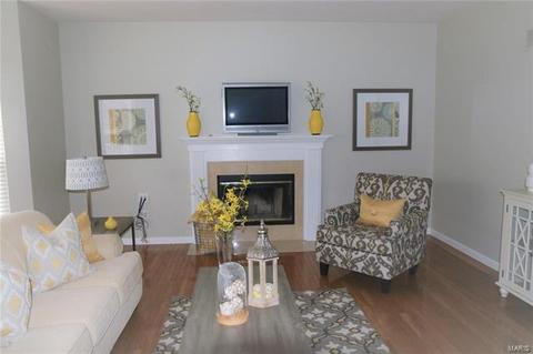 223 Chestnut Hill Dr, O'fallon, MO 63368 photo 18