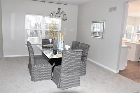 223 Chestnut Hill Dr, O'fallon, MO 63368 photo 9