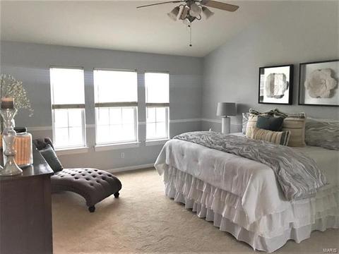 223 Chestnut Hill Dr, O'fallon, MO 63368 photo 24