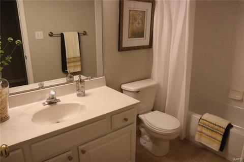 223 Chestnut Hill Dr, O'fallon, MO 63368 photo 38