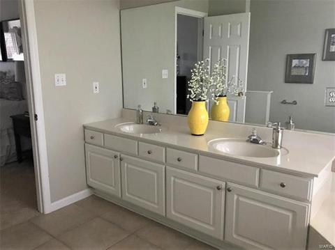 223 Chestnut Hill Dr, O'fallon, MO 63368 photo 29