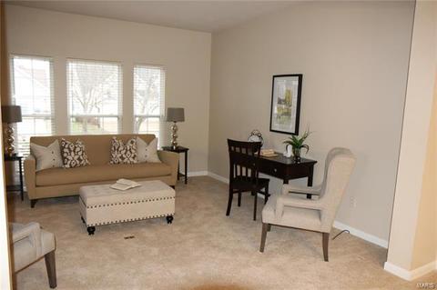 223 Chestnut Hill Dr, O'fallon, MO 63368 photo 7