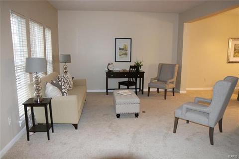 223 Chestnut Hill Dr, O'fallon, MO 63368 photo 6