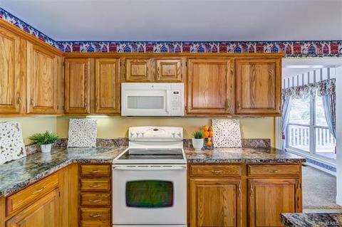 409 Ballwin Estates Ct, Ballwin, MO 63021 photo 16