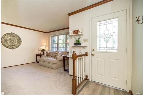 716 Whitewillow Ln, Manchester, MO 63021 photo 3