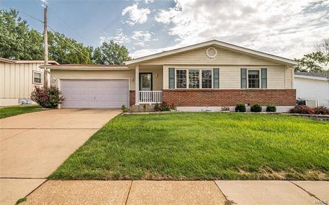 716 Whitewillow Ln, Manchester, MO 63021 photo 1