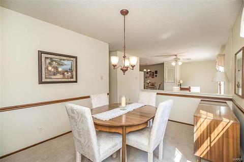 716 Whitewillow Ln, Manchester, MO 63021 photo 16