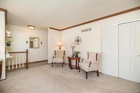 716 Whitewillow Ln, Manchester, MO 63021 photo 6