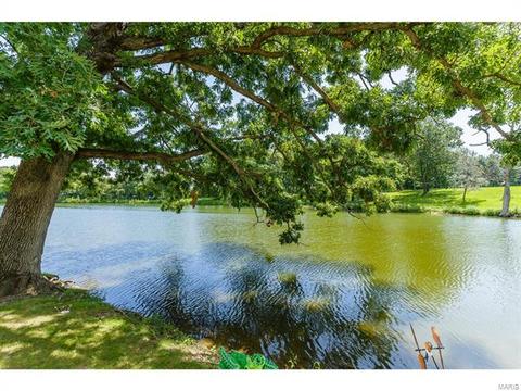 25 Amber Meadows Dr, O'fallon, MO 63366 photo 69