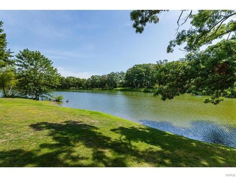 25 Amber Meadows Dr, O'fallon, MO 63366 photo 68