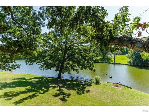 25 Amber Meadows Dr, O'fallon, MO 63366 photo 59