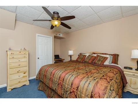 25 Amber Meadows Dr, O'fallon, MO 63366 photo 45