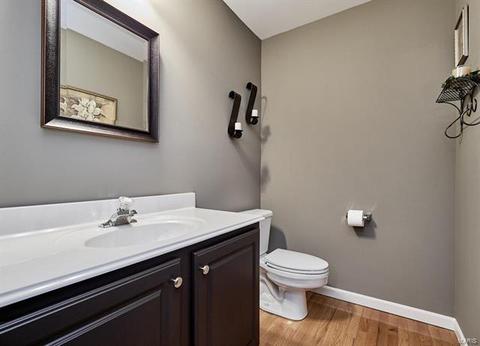 105 Eagle Creek Ct, O'fallon, MO 63368 photo 28