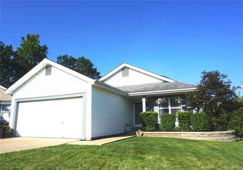 175 Autumn Chase Dr, O'fallon, MO 63366 photo 1