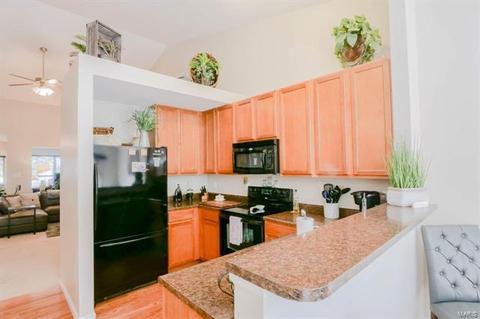 247 Belmonte Cir, O'fallon, MO 63368 photo 10