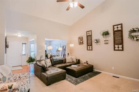 247 Belmonte Cir, O'fallon, MO 63368 photo 2