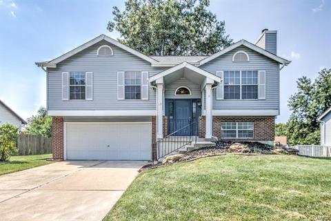 13 Mallard Pointe Dr, O'fallon, MO 63368 photo 1